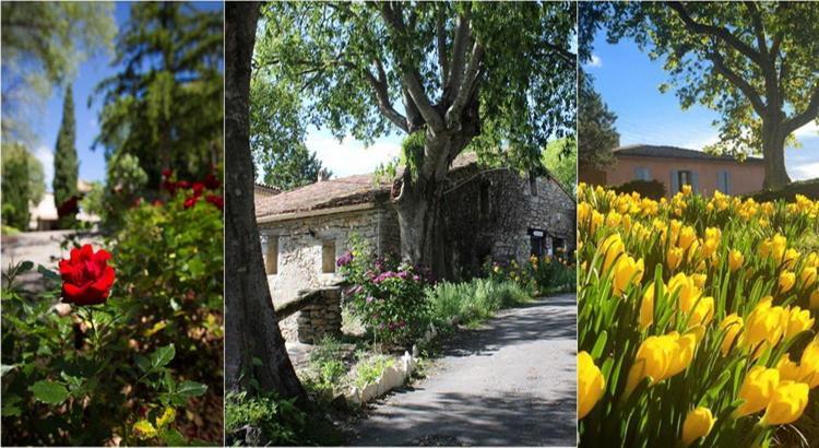 Le Hameau De L'Etoile Hotel Saint-Martin-de-Londres Kültér fotó